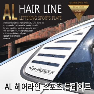 [ Elantra2016(AvanteAD) auto parts ] Elantra2016(AvanteAD) Hair Line C Pillar Sports Plate Made in Korea